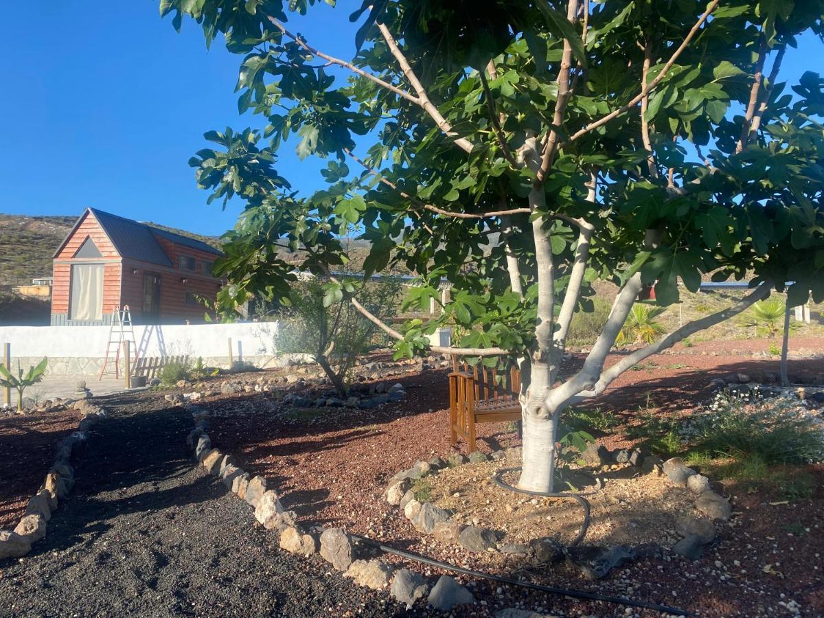 Mini Casa Finca Arcoiris Tenerife Guía de Isora Dış mekan fotoğraf