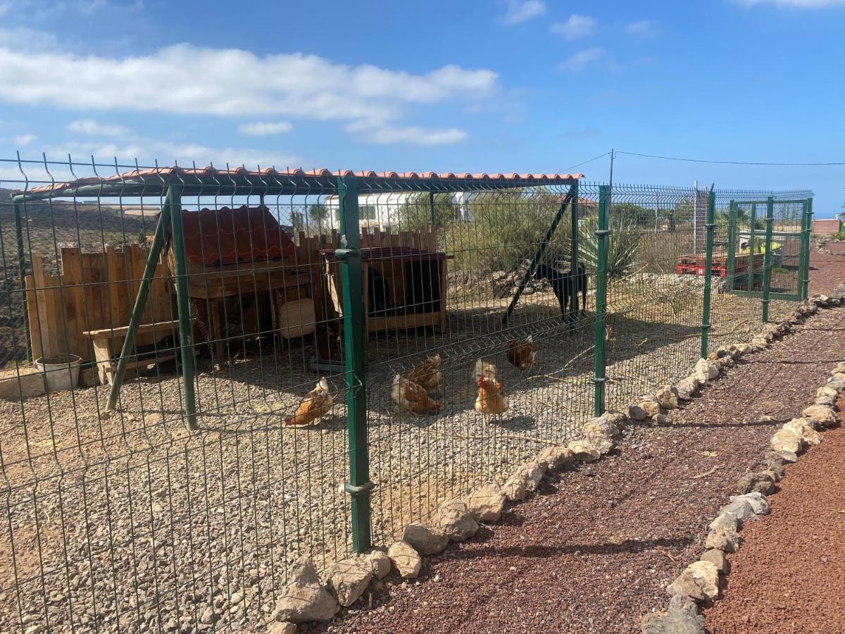 Mini Casa Finca Arcoiris Tenerife Guía de Isora Dış mekan fotoğraf